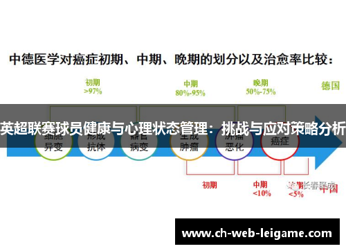 英超联赛球员健康与心理状态管理：挑战与应对策略分析