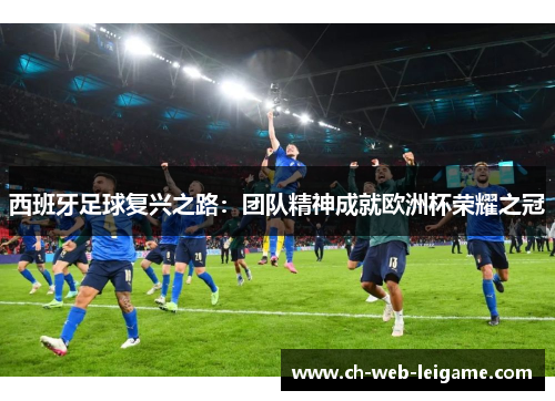 西班牙足球复兴之路：团队精神成就欧洲杯荣耀之冠