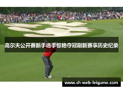 高尔夫公开赛新手选手惊艳夺冠刷新赛事历史纪录